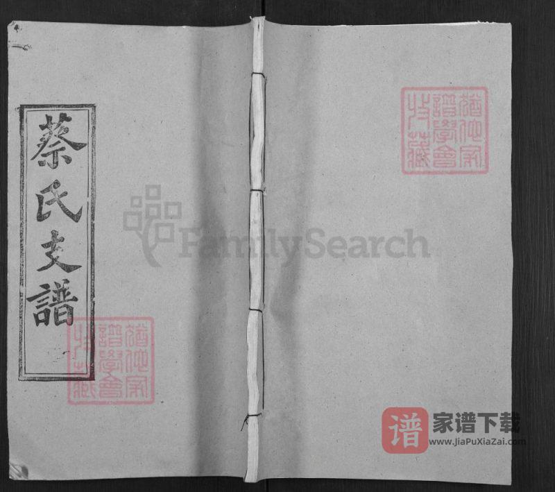 湖北武汉新洲区蔡氏支谱(九峰堂)PDF高清电子版下载-家谱下载