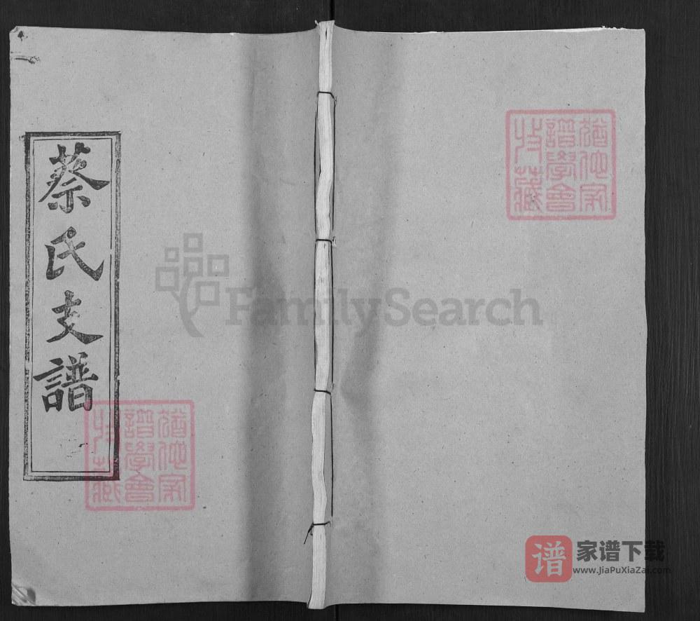图片[1]-湖北武汉新洲区蔡氏支谱（九峰堂）PDF高清电子版下载-家谱下载