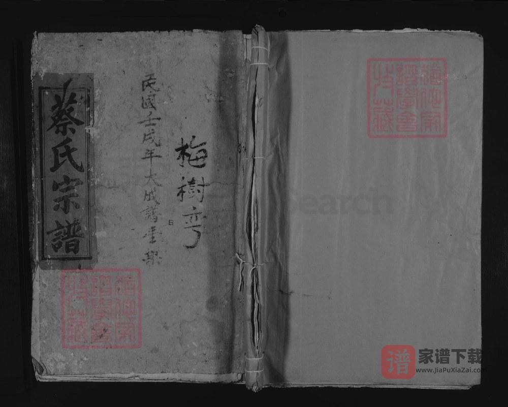 图片[1]-江西九江湖口蔡氏重修宗谱PDF高清电子版下载-家谱下载