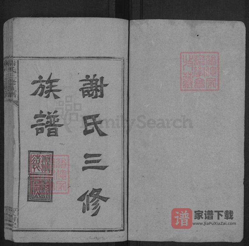 湖南娄底新化谢氏三修族谱（宝树堂）PDF高清电子版下载-家谱下载