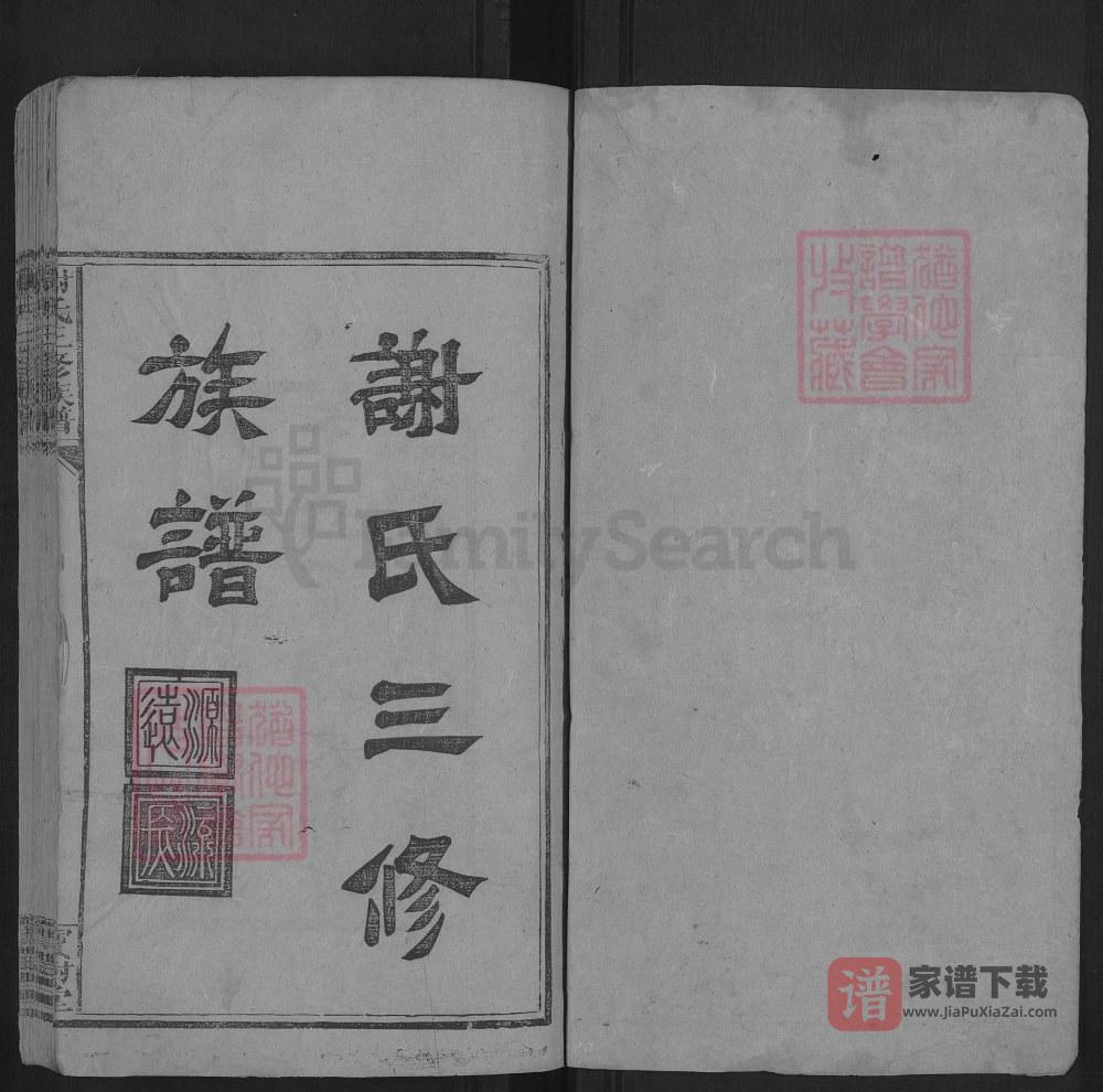 图片[1]-湖南娄底新化谢氏三修族谱（宝树堂）PDF高清电子版下载-家谱下载