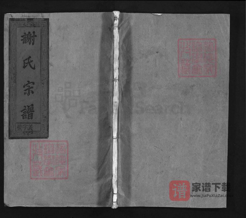 江西上饶谢氏重修宗谱(宝树堂)PDF高清电子版下载-家谱下载