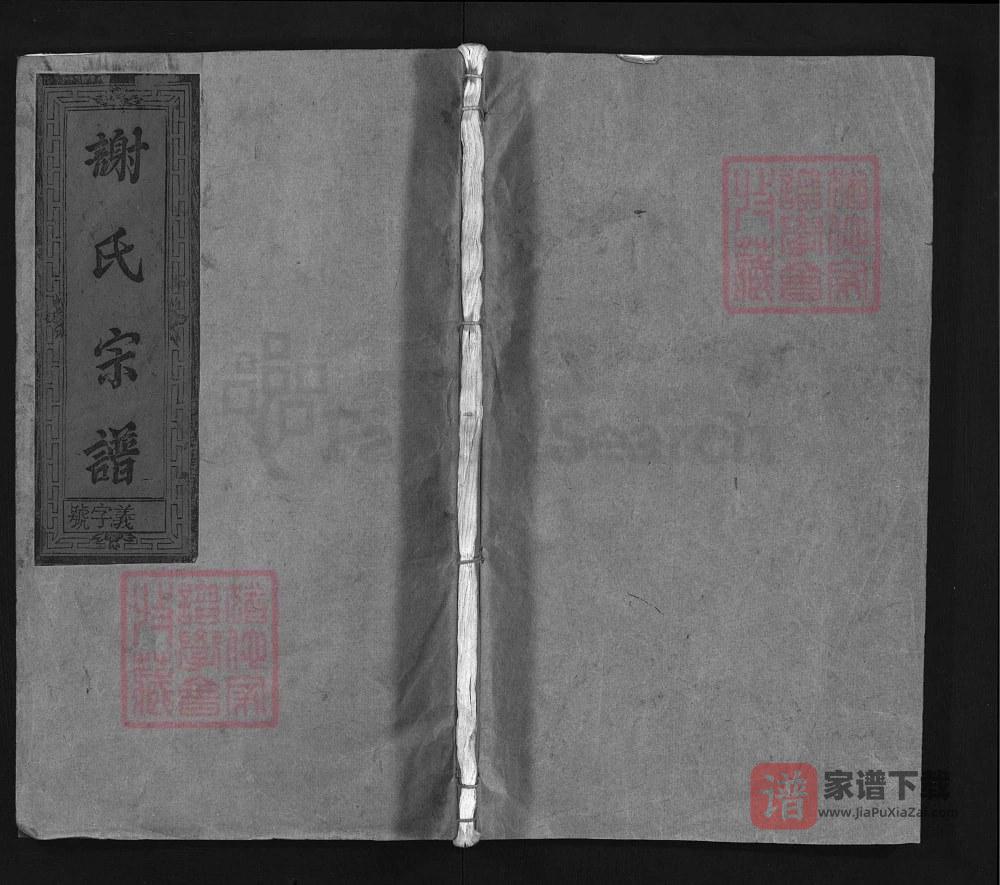图片[1]-江西上饶谢氏重修宗谱（宝树堂）PDF高清电子版下载-家谱下载
