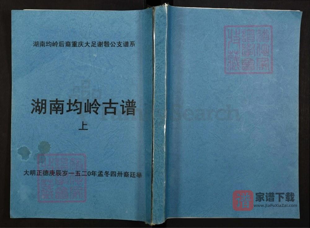 湖南郴州宜章县均岭谢姓氏族源流PDF高清电子版下载