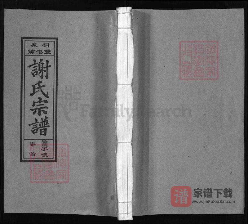安徽桐城双港铺谢氏宗谱(宝树堂)PDF高清电子版下载-家谱下载