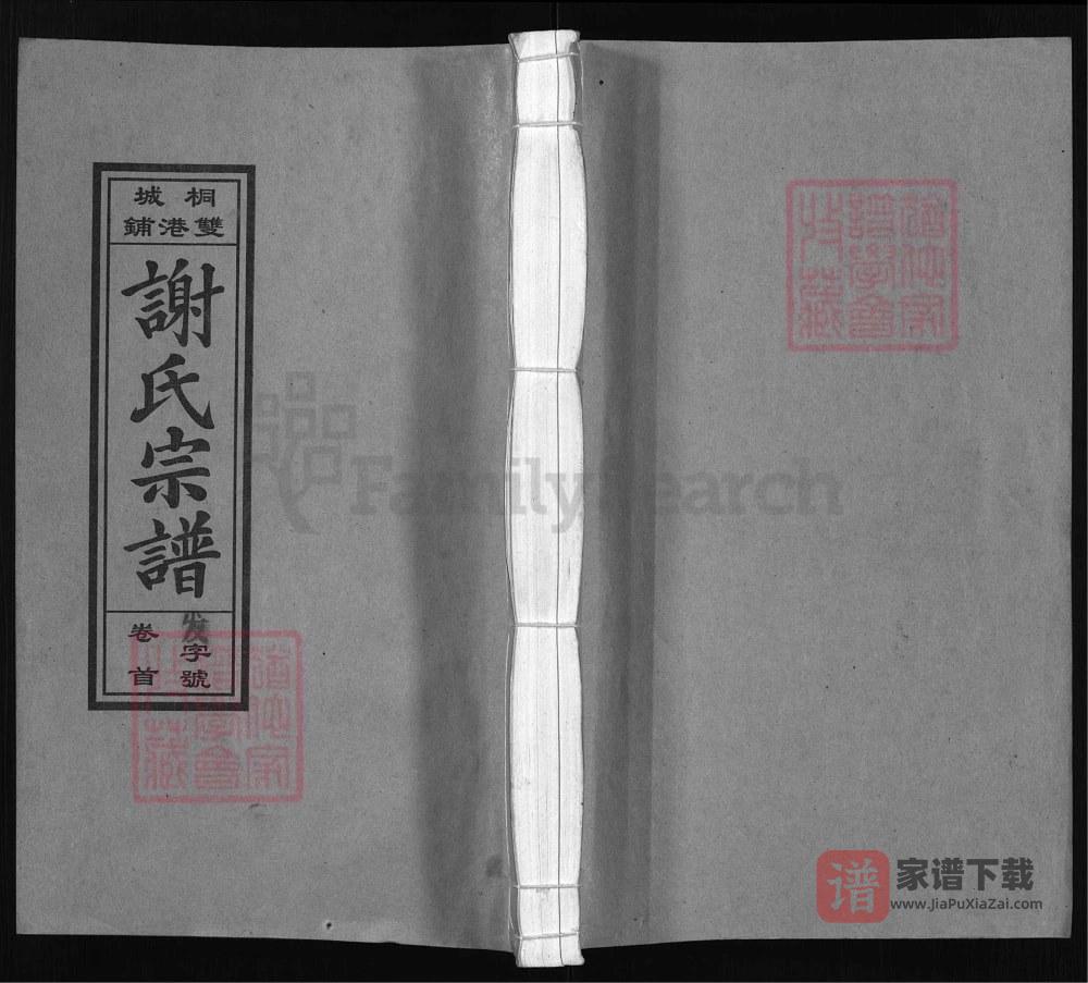 安徽桐城双港铺谢氏宗谱（宝树堂）PDF高清电子版下载