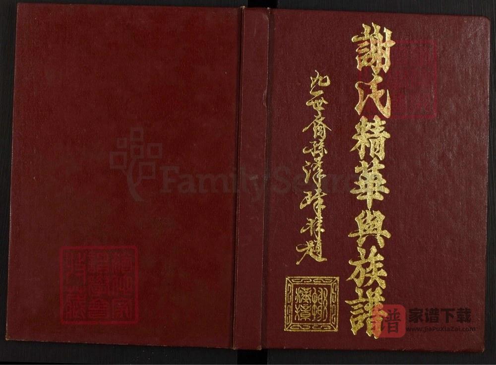 广东兴宁谢氏精华与族谱（宝树堂）PDF高清电子版下载