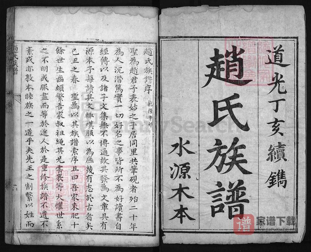 图片[2]-山东肥城赵氏族谱PDF高清电子版下载-家谱下载