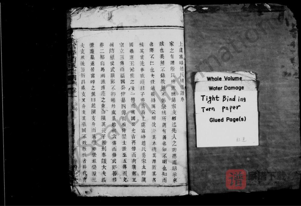 图片[2]-浙江上虞富峰赵氏续修宗谱（日生堂）PDF高清电子版下载-家谱下载