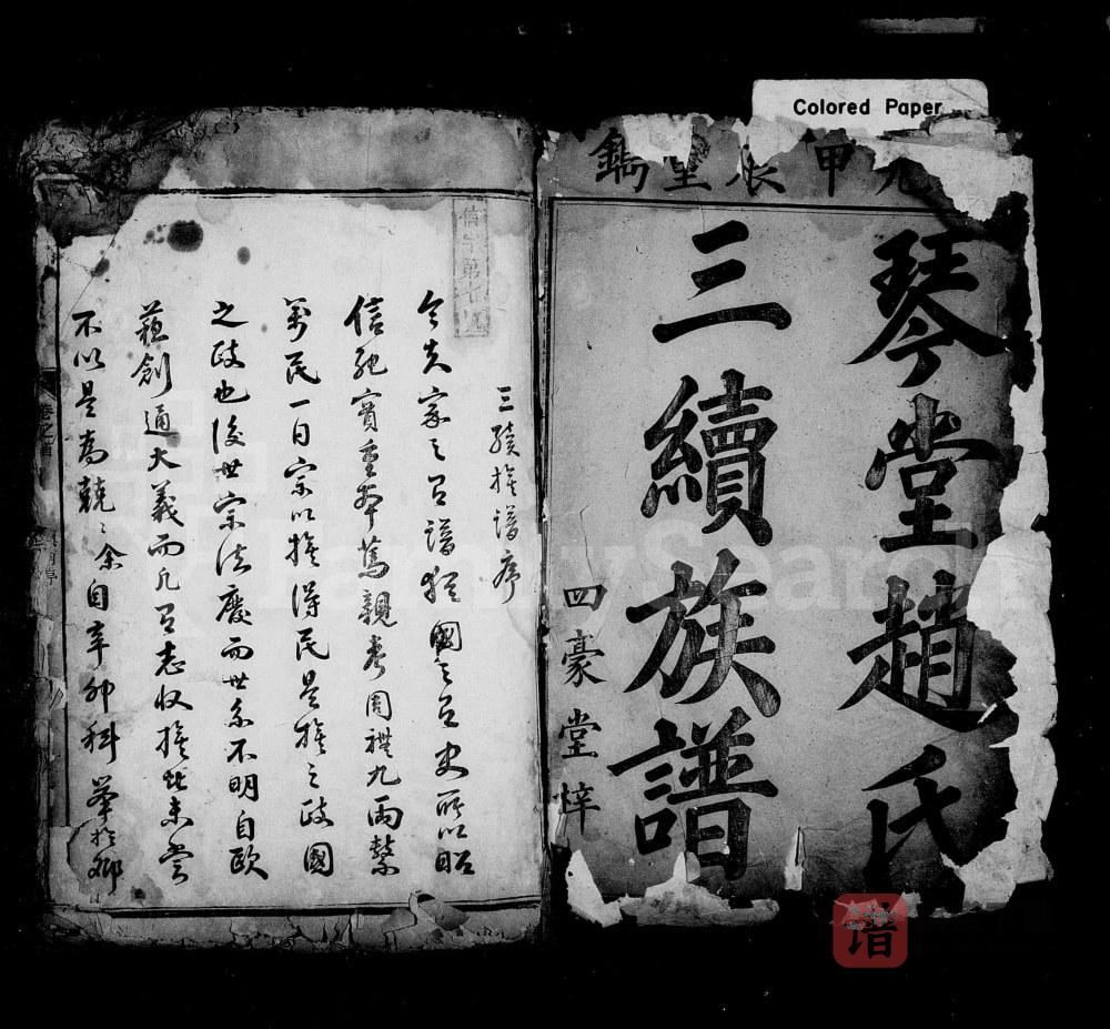 湖南邵阳琴堂赵氏三续族谱（琴鹤堂）PDF高清电子版下载
