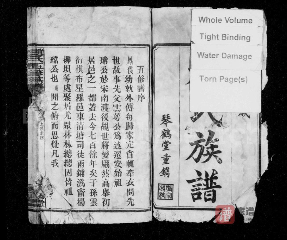 图片[2]-湖南安化赵氏五修族谱（琴鹤堂）PDF高清电子版下载-家谱下载