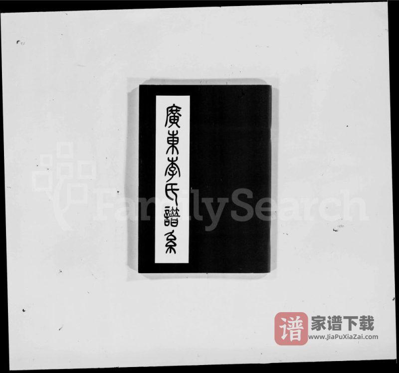 广东南雄李氏谱系PDF高清电子版下载-家谱下载