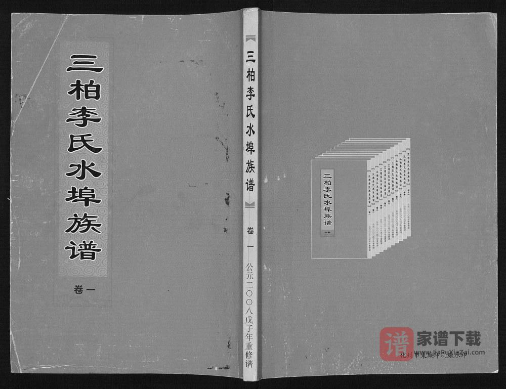 广东化州三柏李氏水埠族谱PDF高清电子版下载
