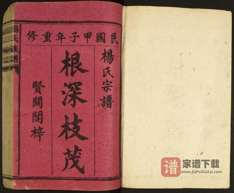 广东韶关杨氏族谱PDF高清电子版下载-家谱下载