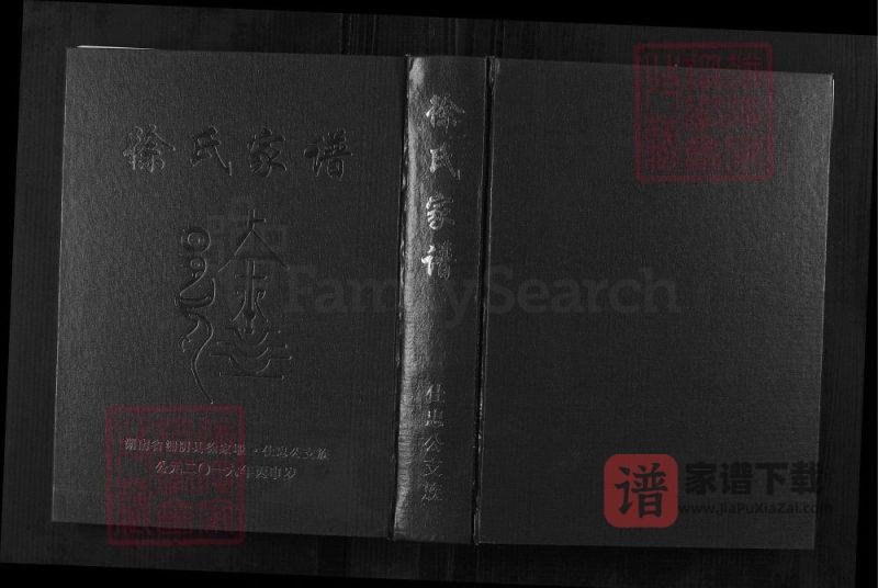 湖南岳阳湘阴县徐氏家谱仕忠公支族（一本堂）PDF高清电子版下载-家谱下载