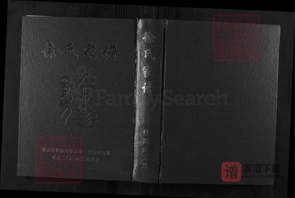 湖南岳阳湘阴县徐氏家谱仕忠公支族（一本堂）PDF高清电子版下载