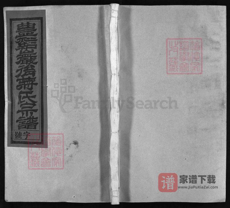 江西上饶广丰区丰溪岩后蒋氏宗谱(三径堂)PDF高清电子版下载-家谱下载