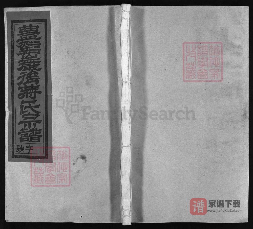 图片[1]-江西上饶广丰区丰溪岩后蒋氏宗谱（三径堂）PDF高清电子版下载-家谱下载