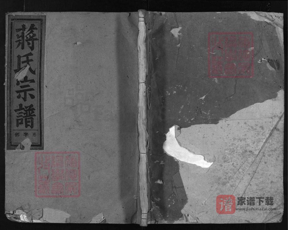 图片[1]-浙江兰溪洞山蒋氏宗谱（世胤堂）PDF高清电子版下载-家谱下载