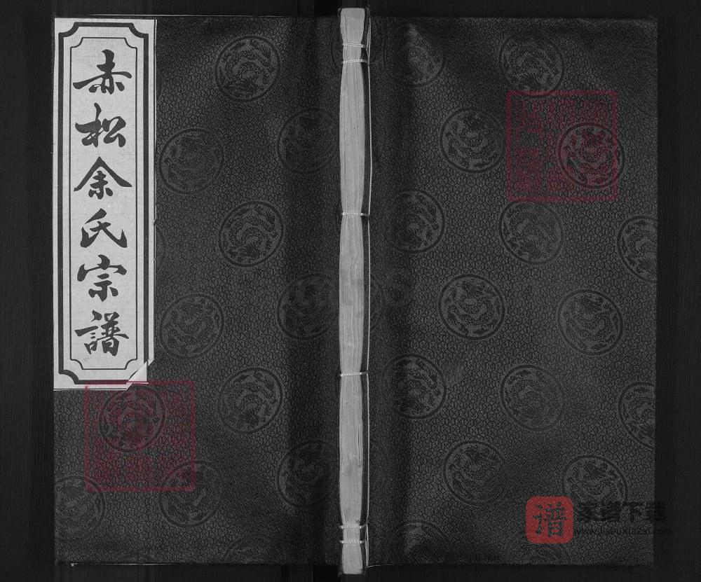 浙江金华金东区赤松山口余氏宗谱PDF高清电子版下载