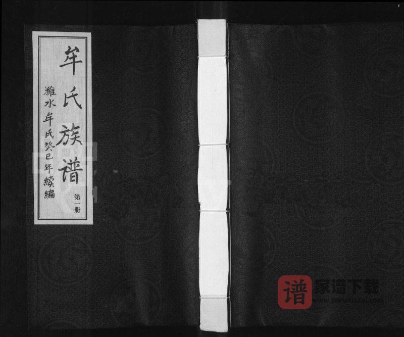 山东潍坊潍水派牟氏族谱PDF高清电子版下载-家谱下载