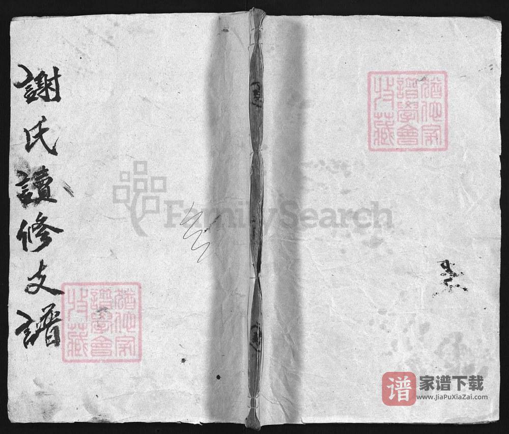 图片[1]-湖南益阳澬阳谢氏续修支谱（东山堂）PDF高清电子版下载-家谱下载