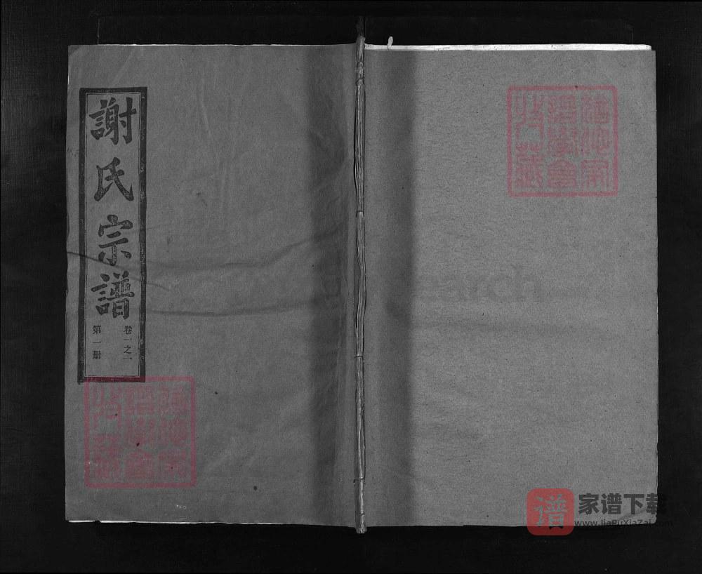 图片[1]-湖北大冶谢氏宗谱（宝树堂）PDF高清电子版下载-家谱下载