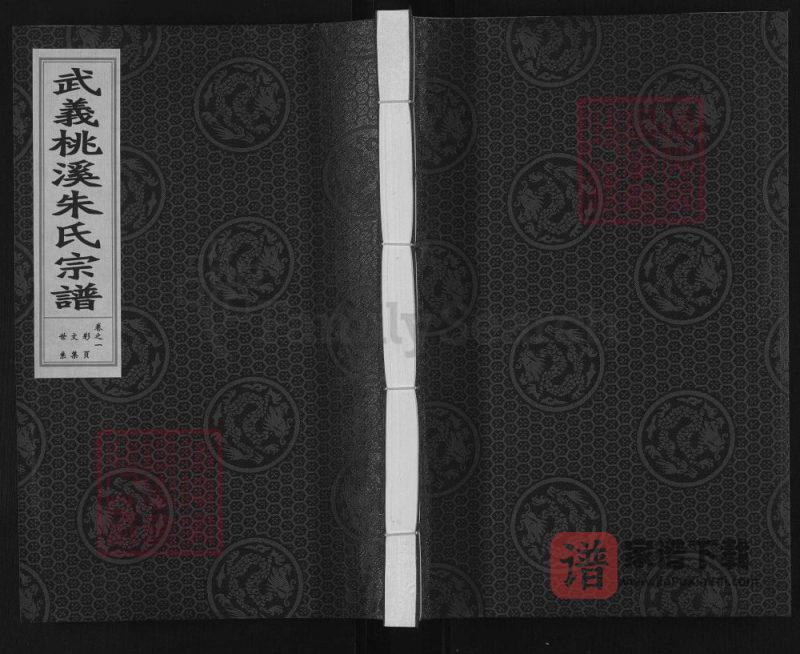 浙江金华武义桃溪朱氏宗谱PDF高清电子版下载-家谱下载