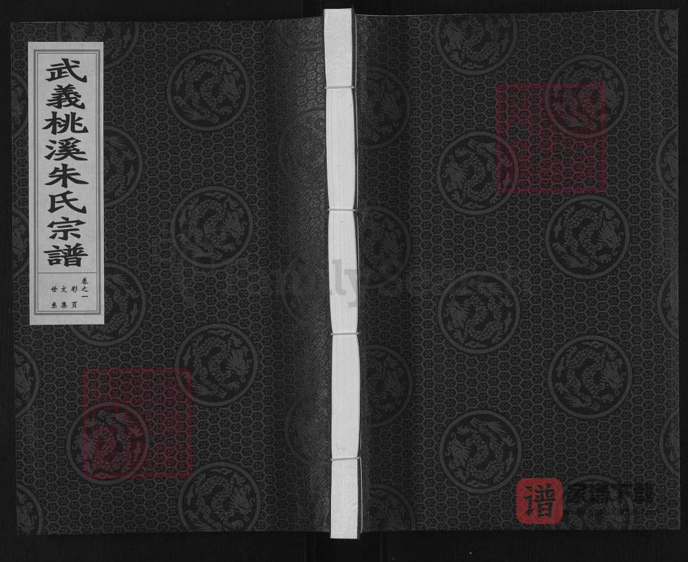 浙江金华武义桃溪朱氏宗谱PDF高清电子版下载