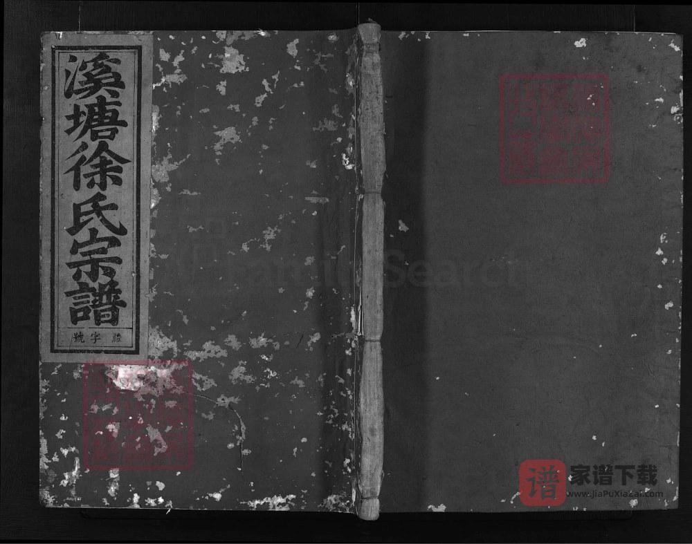 图片[1]-浙江兰溪金山徐氏宗谱（种德堂）PDF高清电子版下载-家谱下载