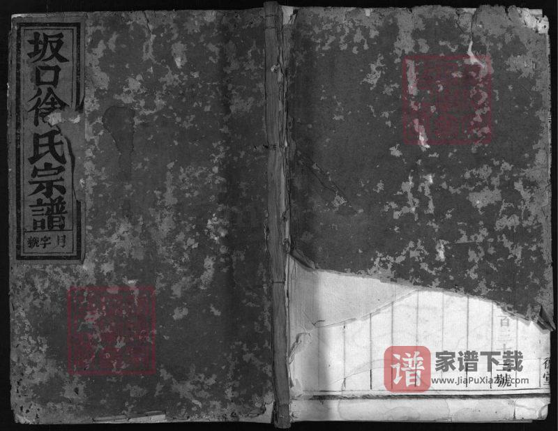 浙江兰溪坂口徐氏宗谱(树德堂)PDF高清电子版下载-家谱下载