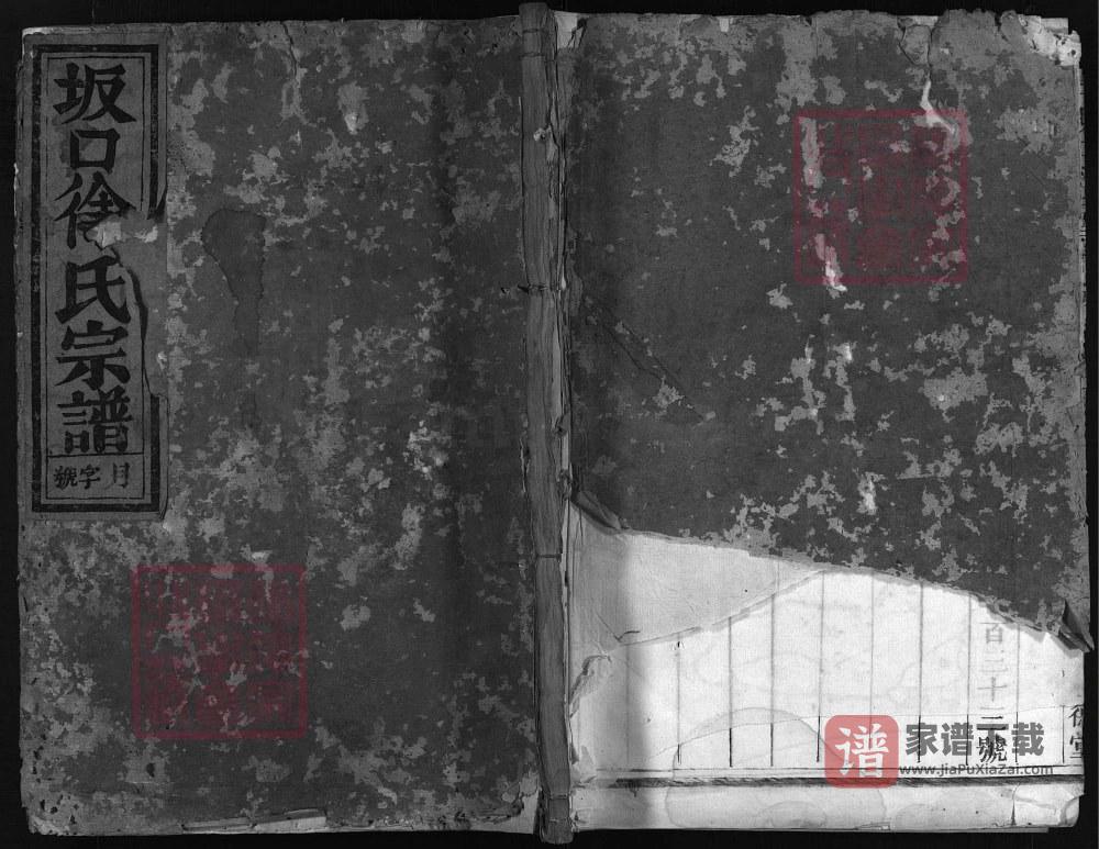 图片[1]-浙江兰溪坂口徐氏宗谱（树德堂）PDF高清电子版下载-家谱下载