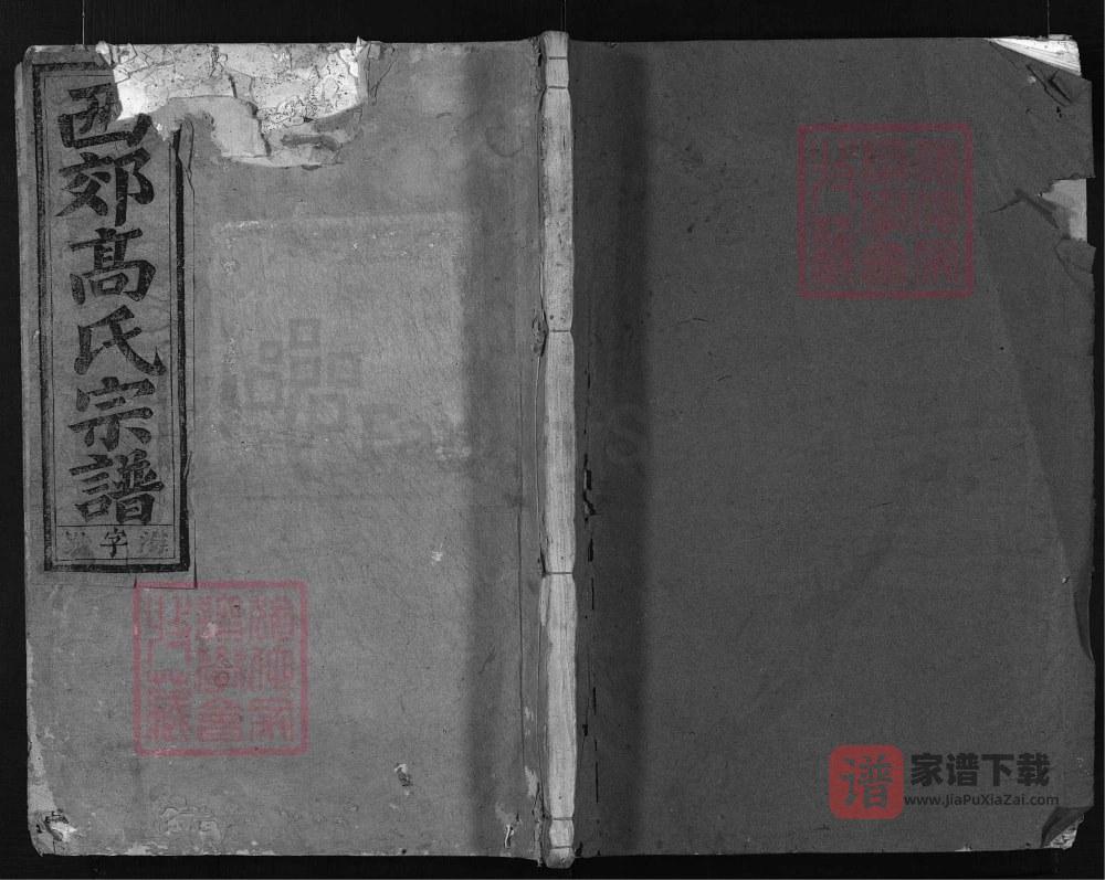 图片[1]-浙江兰溪西郊高氏宗谱（济美堂）PDF高清电子版下载-家谱下载