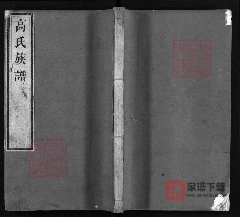 山东临沂沂水县高氏族谱(树德堂)PDF高清电子版下载-家谱下载