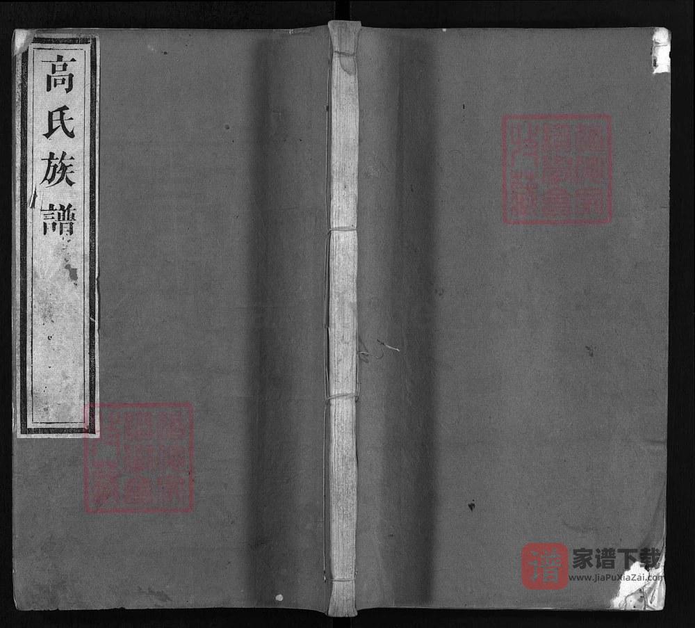 山东临沂沂水县高氏族谱（树德堂）PDF高清电子版下载