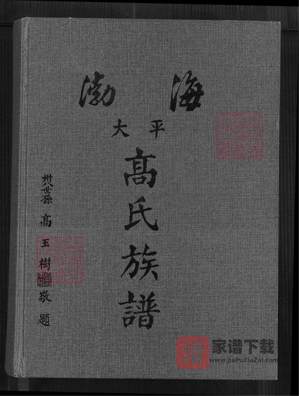 福建泉州安溪县渤海大平高氏族谱PDF高清电子版下载-家谱下载
