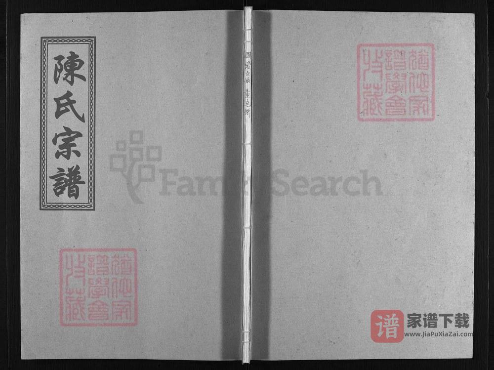 图片[1]-浙江温州平阳县陈氏宗谱（聚星堂）PDF高清电子版下载-家谱下载