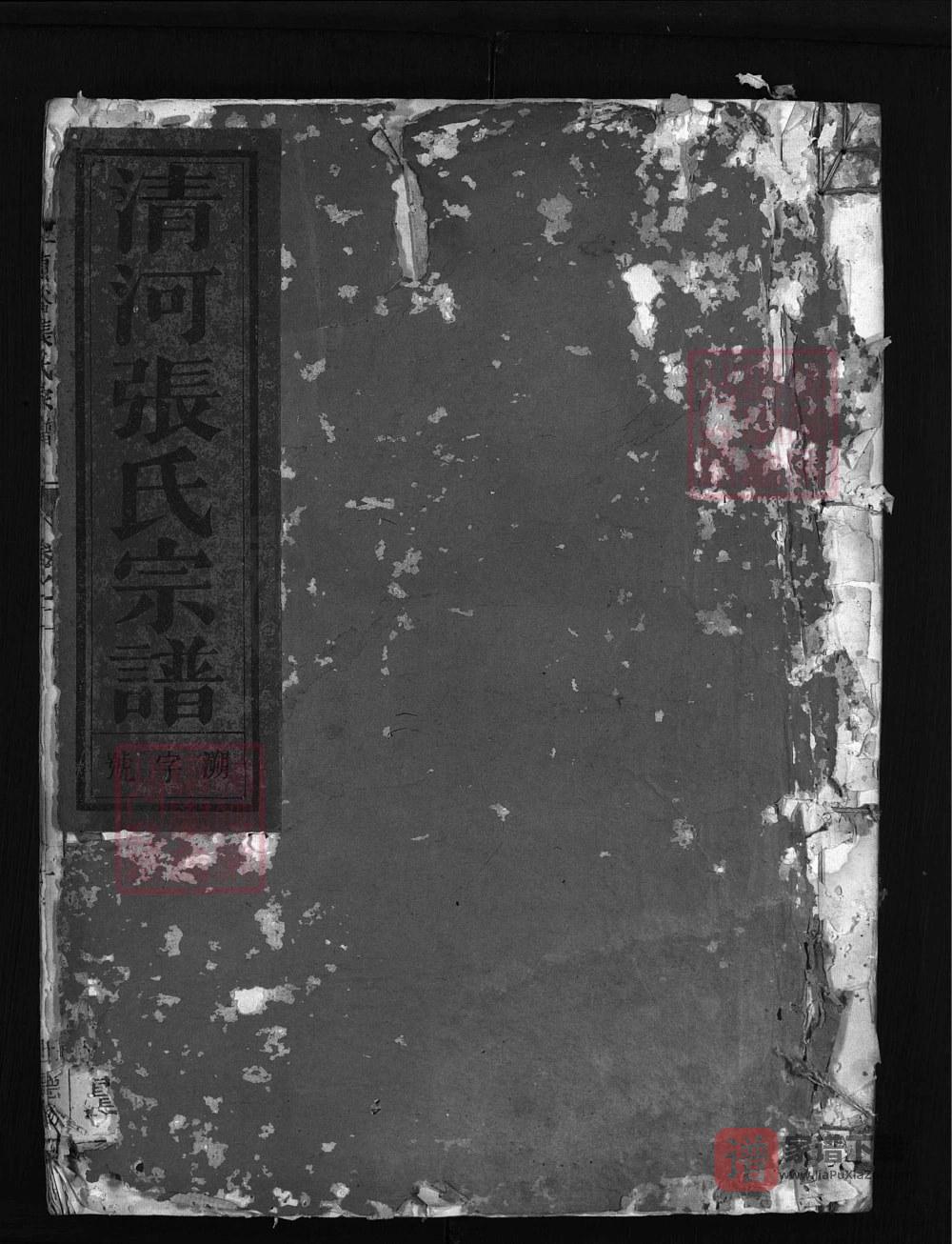 图片[1]-浙江兰溪尹源清河张氏宗谱（世德堂）PDF高清电子版下载-家谱下载