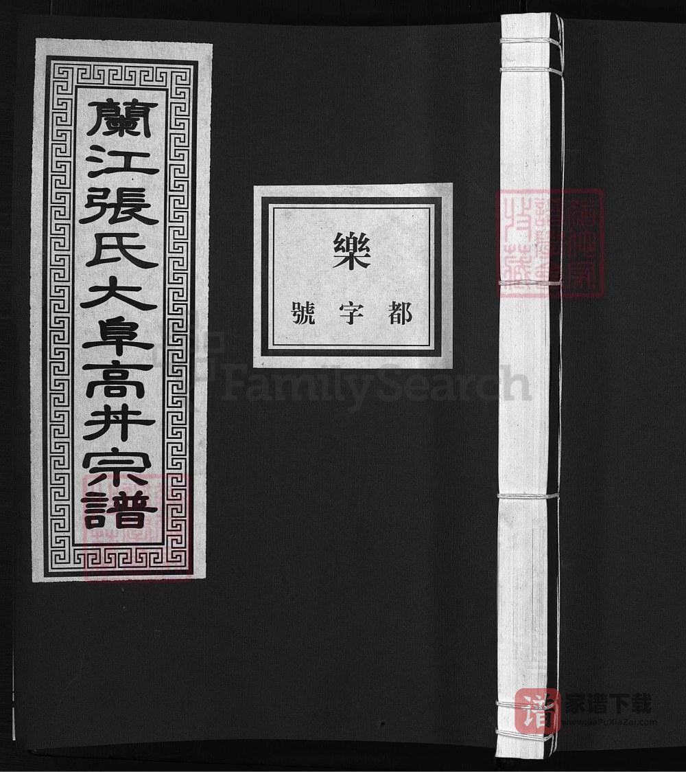 图片[1]-浙江兰溪兰江张氏大阜高井宗谱PDF高清电子版下载-家谱下载