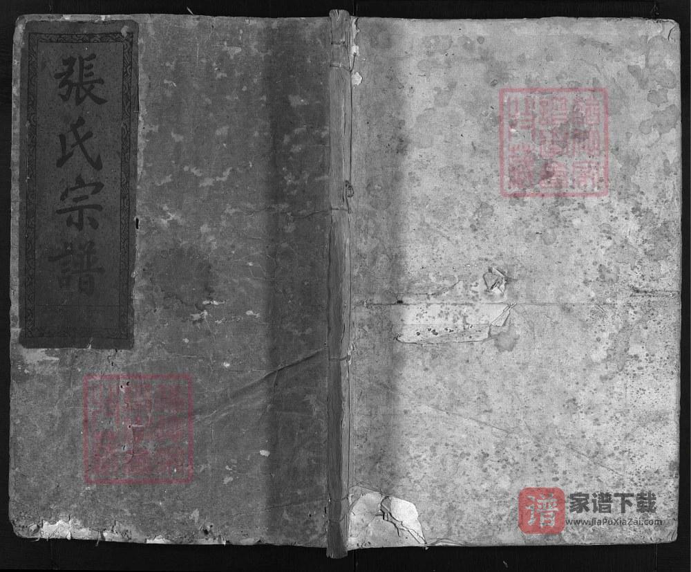 图片[1]-浙江衢州龙游县清河张氏宗谱（绿筠堂）PDF高清电子版下载-家谱下载
