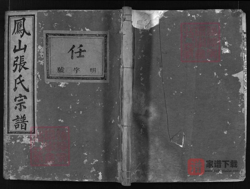 图片[1]-浙江兰溪凤山张氏宗谱（敦睦堂）PDF高清电子版下载-家谱下载