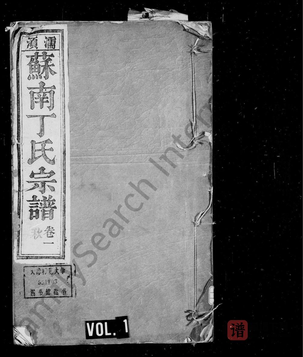 安徽无为濡须苏南丁氏宗谱（五果堂）PDF高清电子版下载