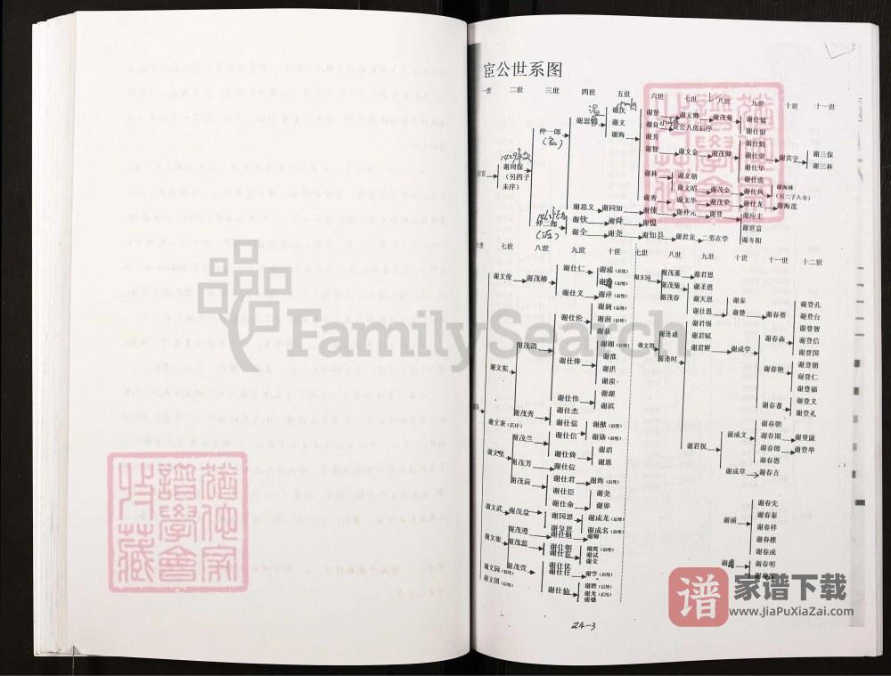 图片[2]-重庆巴南区谢氏周保公宗谱（宝树堂）PDF高清电子版下载-家谱下载