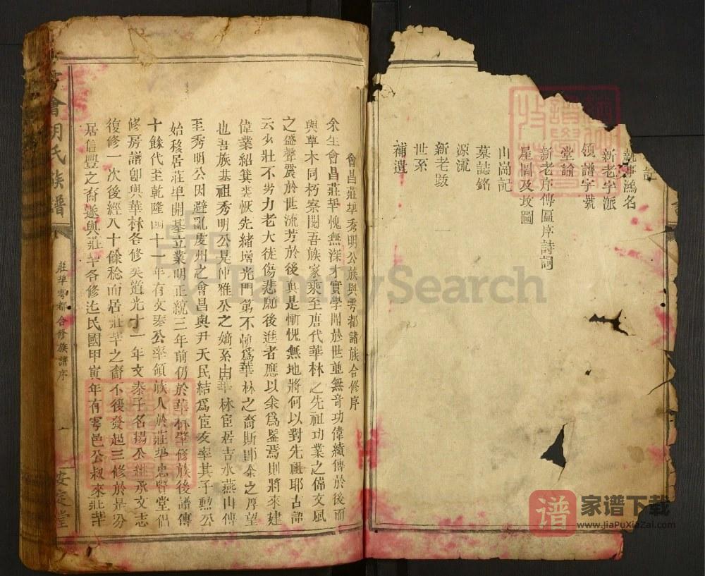 图片[2]-江西赣州会昌县雩会胡氏族谱（安定堂）PDF高清电子版下载-家谱下载