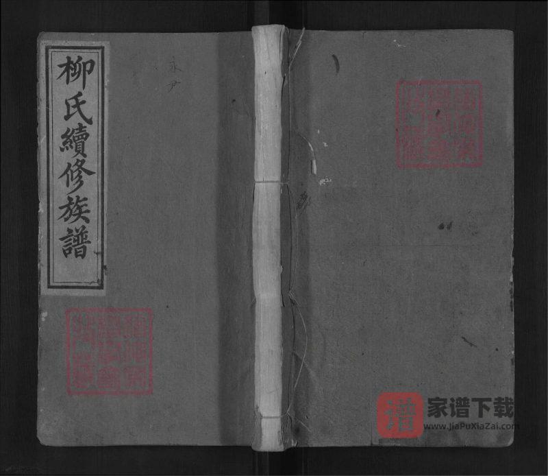 湖南邵阳田心柳家桥柳氏续修族谱（河东堂）PDF高清电子版下载-家谱下载