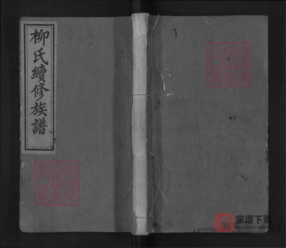 图片[1]-湖南邵阳田心柳家桥柳氏续修族谱（河东堂）PDF高清电子版下载-家谱下载