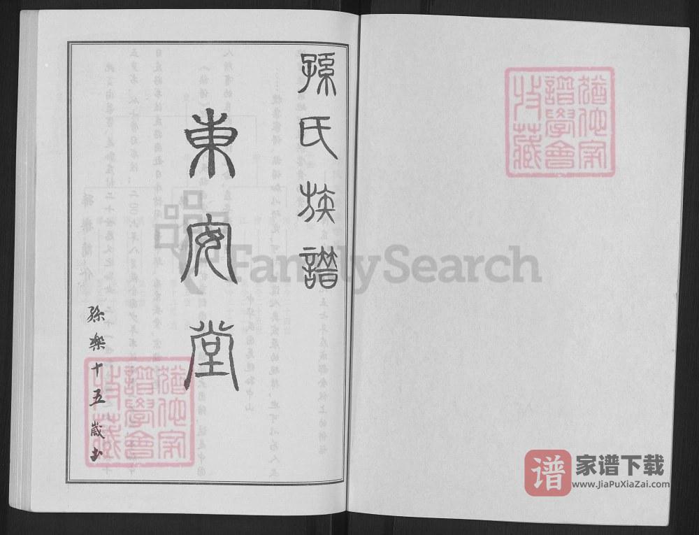 图片[2]-江苏徐州丰县古丰孙氏族谱（东安堂）PDF高清电子版下载-家谱下载