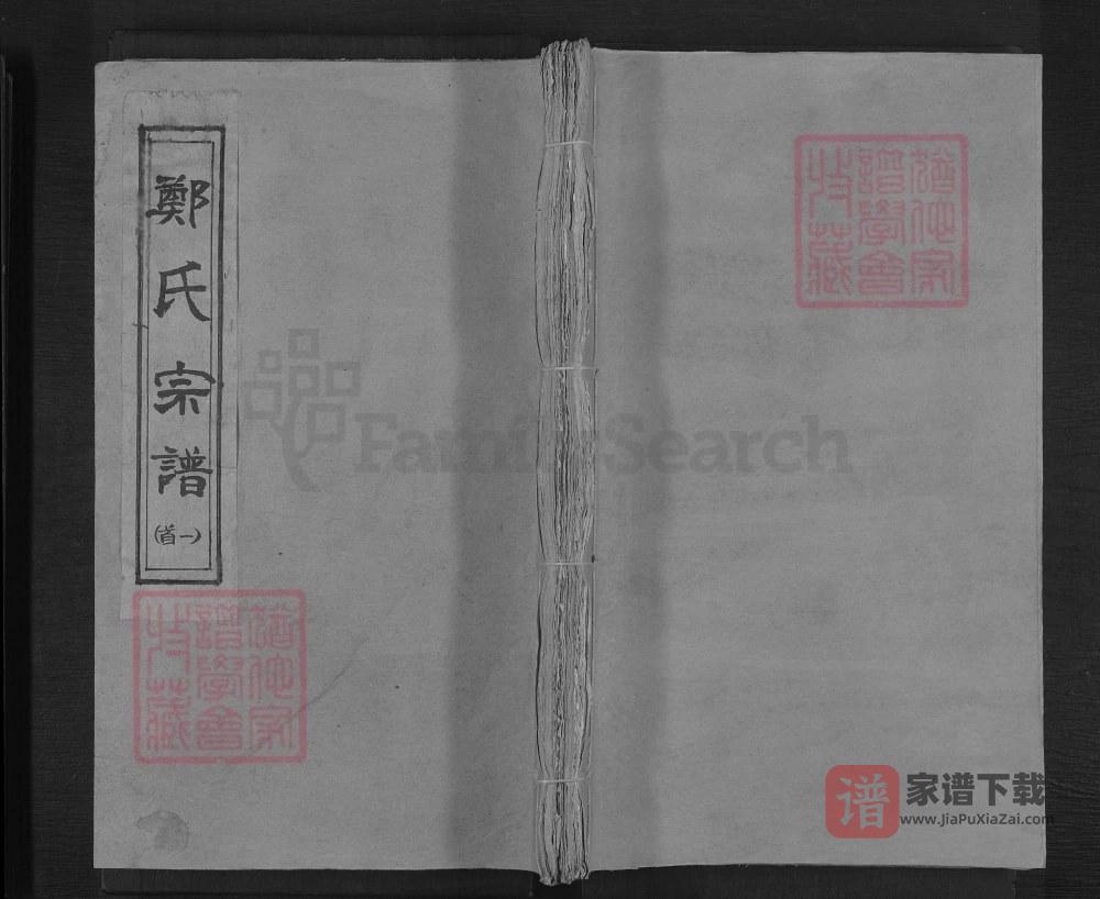 湖北通山郑氏宗谱（通德堂）PDF高清电子版下载