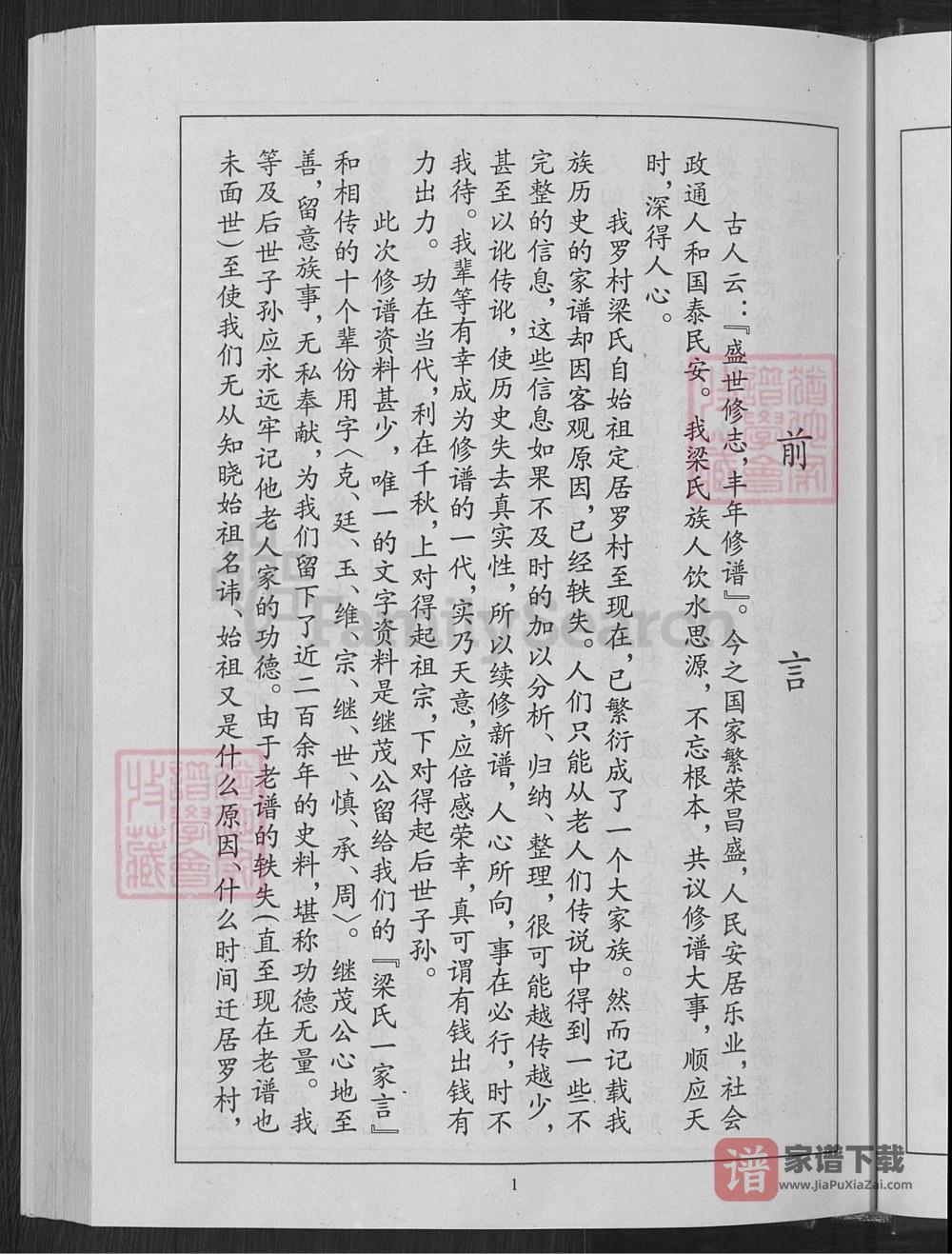 图片[2]-山东淄博淄川区梁氏家谱PDF高清电子版下载-家谱下载