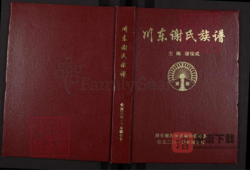 四川达州大竹县川东谢氏族谱PDF高清电子版下载-家谱下载